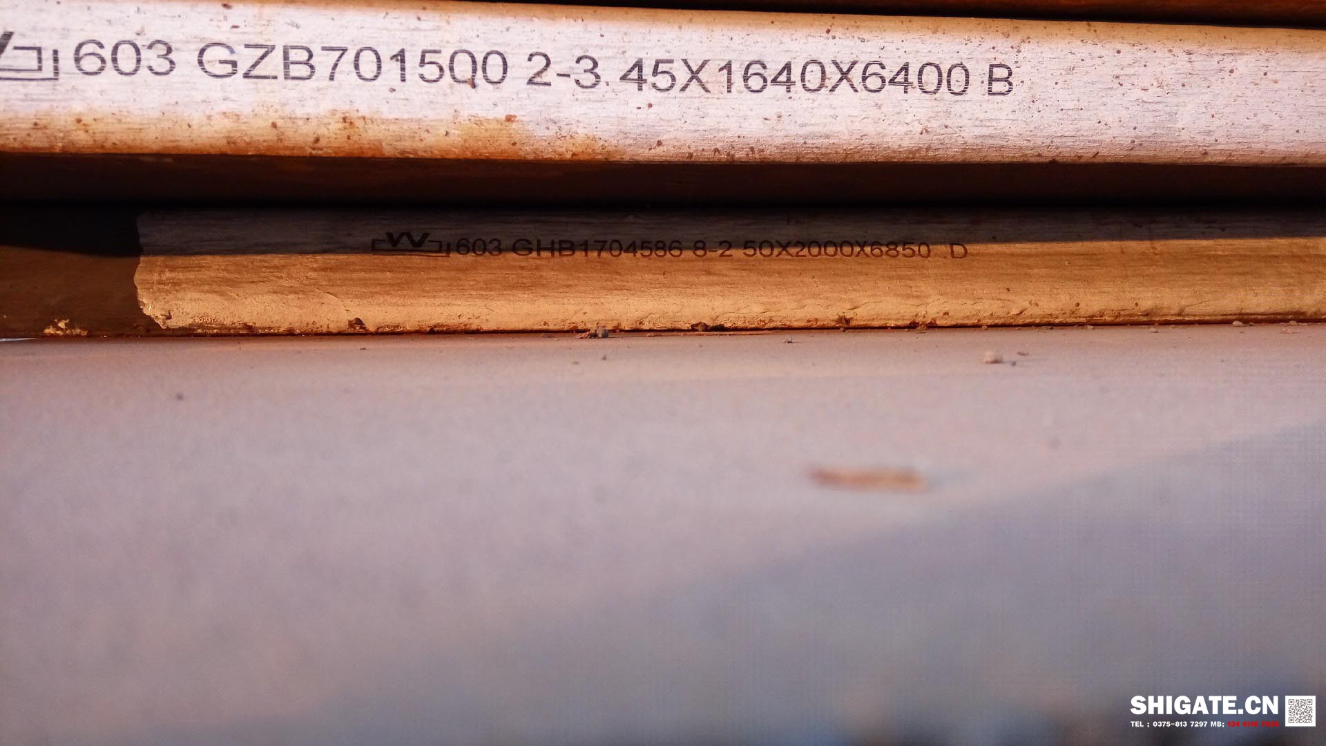 1709610802192225.jpg 微信圖片_20240305115159.jpg