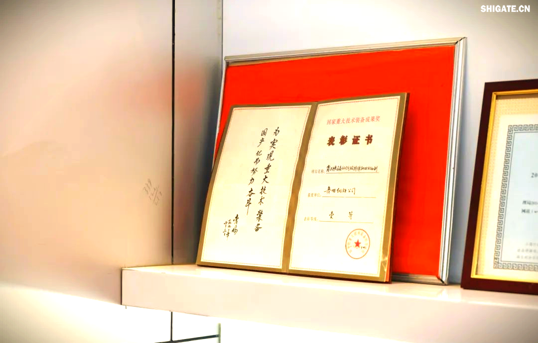 260余種寬厚板產(chǎn)品成功替代進(jìn)口或按國外標(biāo)準(zhǔn)生產(chǎn)，多個(gè)品種填補(bǔ)國內(nèi)空白并獨(dú)家供貨，更有40余種遠(yuǎn)銷海外。舞鋼公司不僅主導(dǎo)制定了臨氫設(shè)備用鉻鉬合金鋼板等十余項(xiàng)國家標(biāo)準(zhǔn)，還榮獲國家科學(xué)技術(shù)進(jìn)步獎(jiǎng)一等獎(jiǎng)2項(xiàng)、二等獎(jiǎng)1項(xiàng)，省部級(jí)科技進(jìn)步獎(jiǎng)更是數(shù)不勝數(shù)。自創(chuàng)立以來，河鋼集團(tuán)舞鋼公司便深耕寬厚板研發(fā)制造，打造出響亮的民族品牌，穩(wěn)坐世界寬厚板領(lǐng)域的頭把交椅。